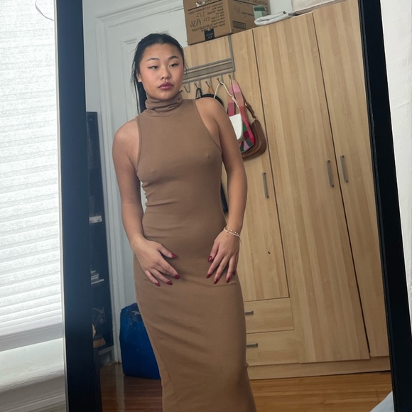 Zara Dresses & Skirts - Brown Maxi Turtleneck Dress